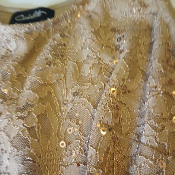 Lace and tulle maxi dress with ribbon belt and sequin accents - Picture 7 of 9